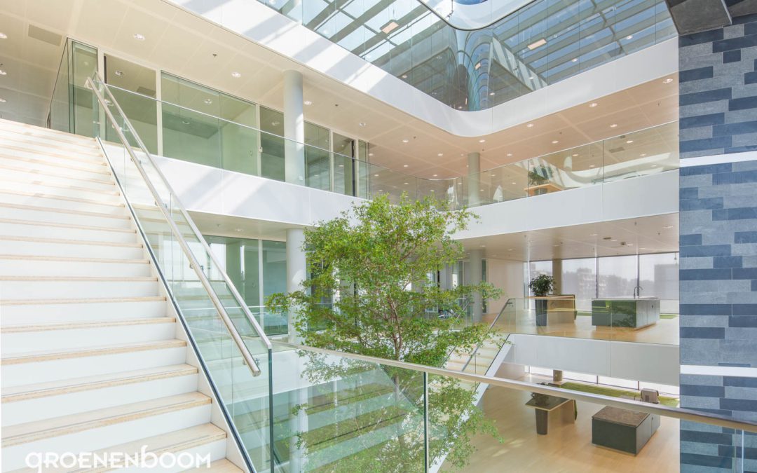 Rabobank Gouda